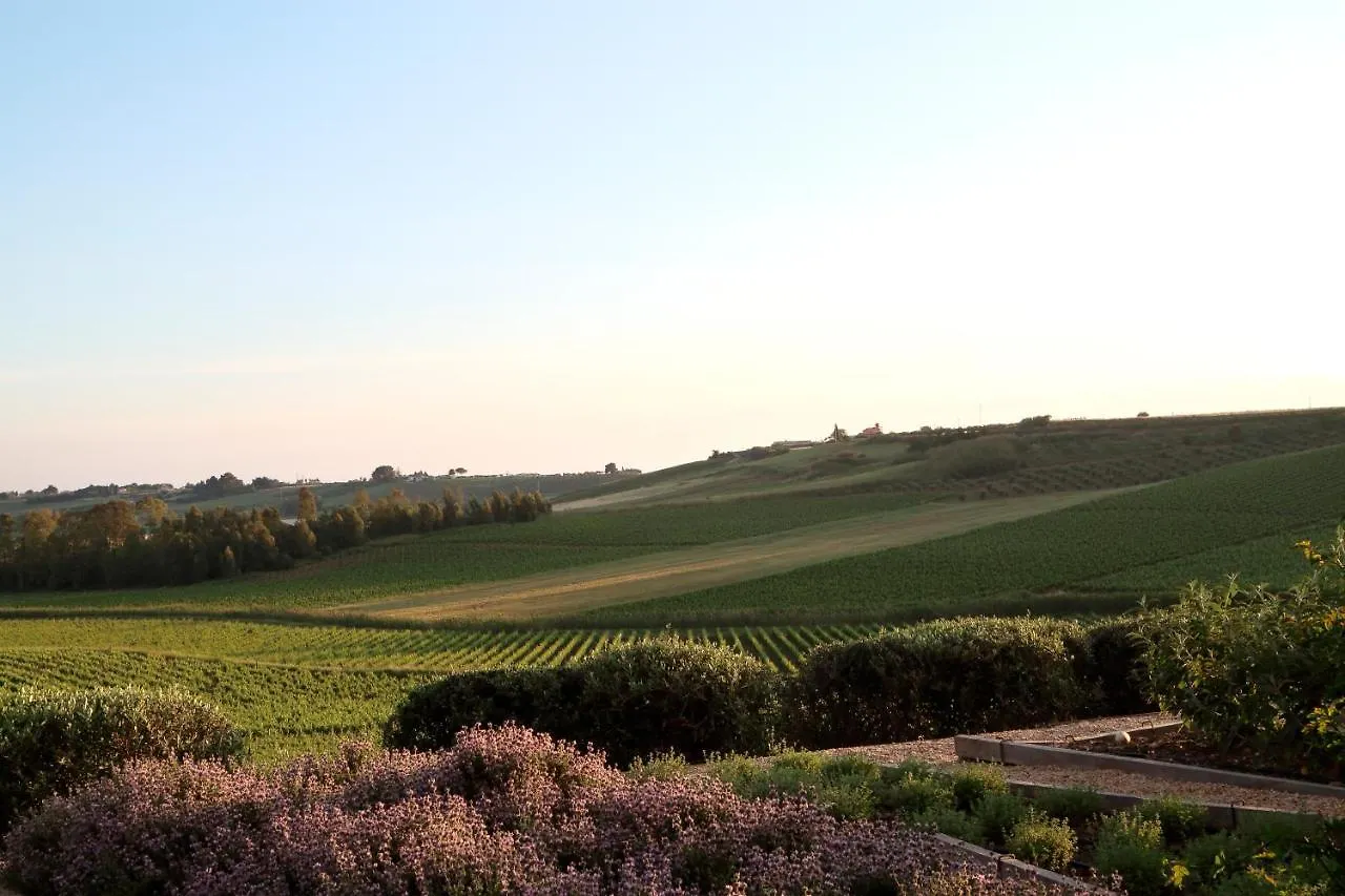 La Foresteria Planeta Wine Resort & Beach Club Menfi Italy